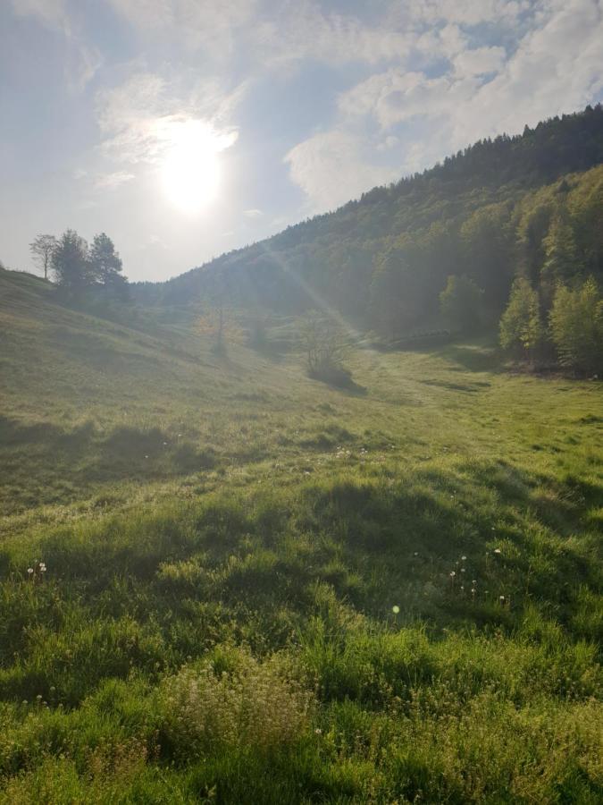 Agréable chambre d'hôtes, au calme, dans la nature Roches Esterno foto